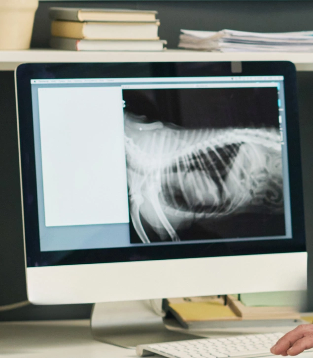 Personalized Treatment Plans Based on Diagnosis